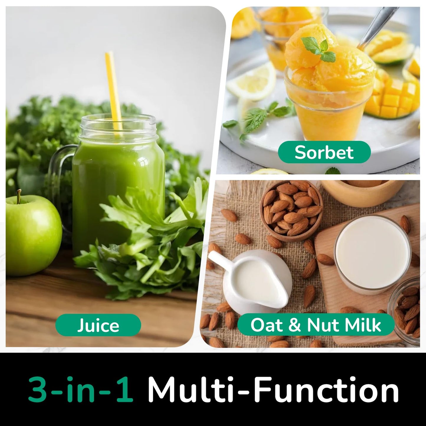 Canoly C16 cold press juicer, 6" chute, 3 filters, juice/sorbet/nut milk, BPA-free