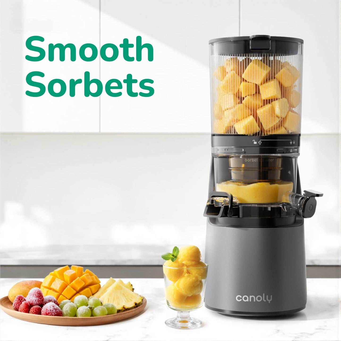 Canoly C16 cold press juicer, 6" chute, 3 filters, juice/sorbet/nut milk, BPA-free