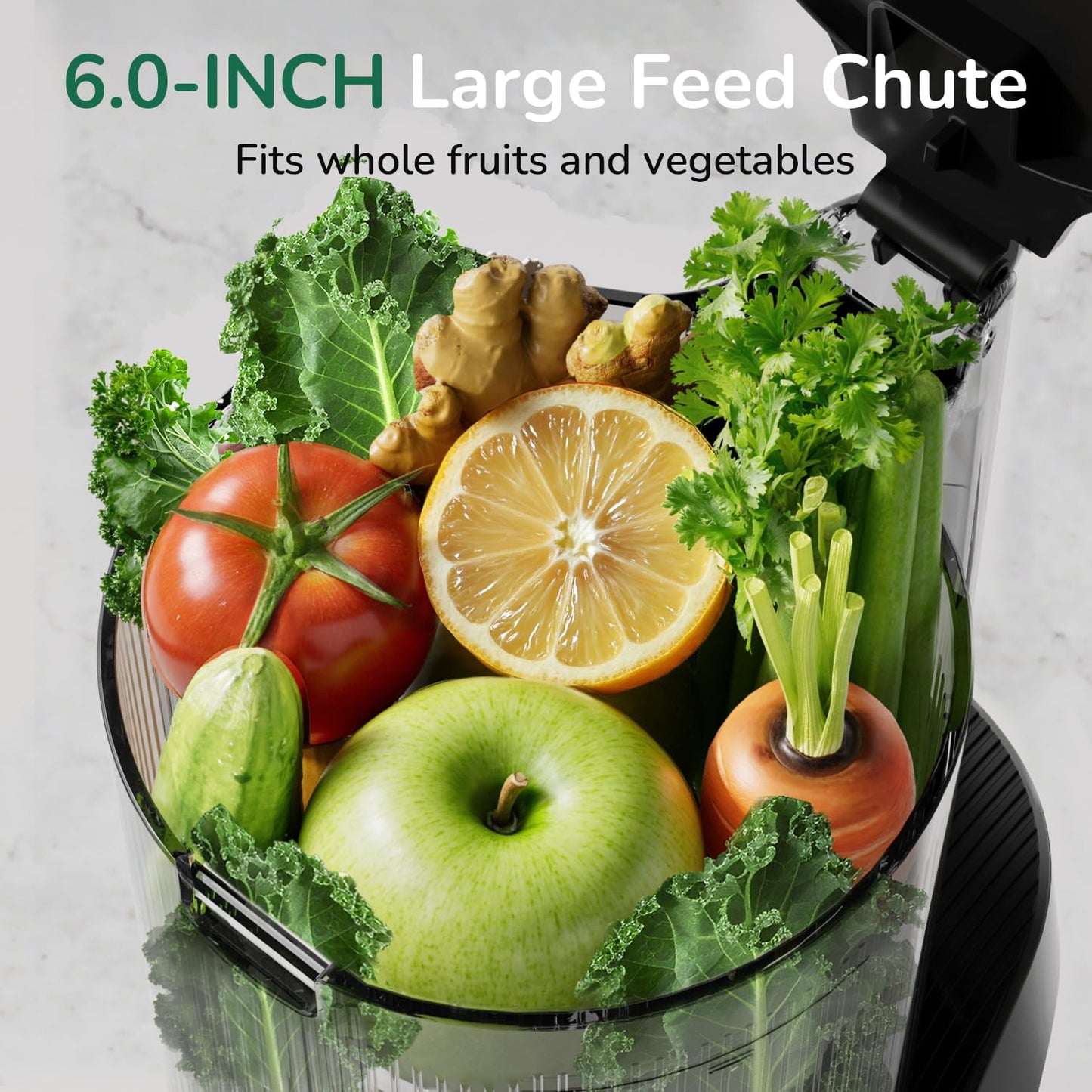 Canoly C16 cold press juicer, 6" chute, 3 filters, juice/sorbet/nut milk, BPA-free