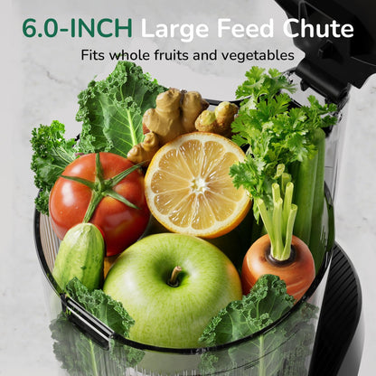 Canoly C16 cold press juicer, 6" chute, 3 filters, juice/sorbet/nut milk, BPA-free